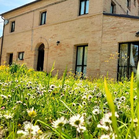 Agriturismo Campo Aperto Belvedere Ostrense Ngoại thất bức ảnh