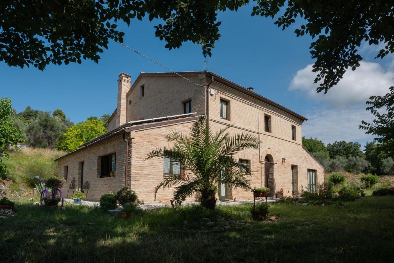 Agriturismo Campo Aperto Belvedere Ostrense Ngoại thất bức ảnh