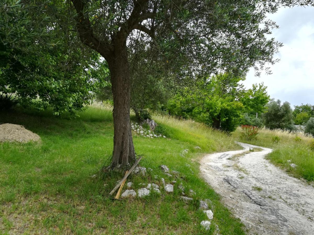 Agriturismo Campo Aperto Belvedere Ostrense Ngoại thất bức ảnh