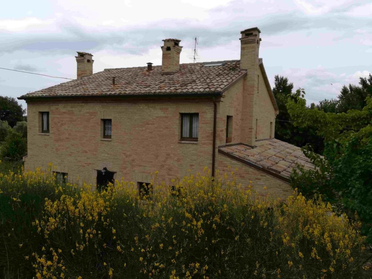Agriturismo Campo Aperto Belvedere Ostrense Ngoại thất bức ảnh