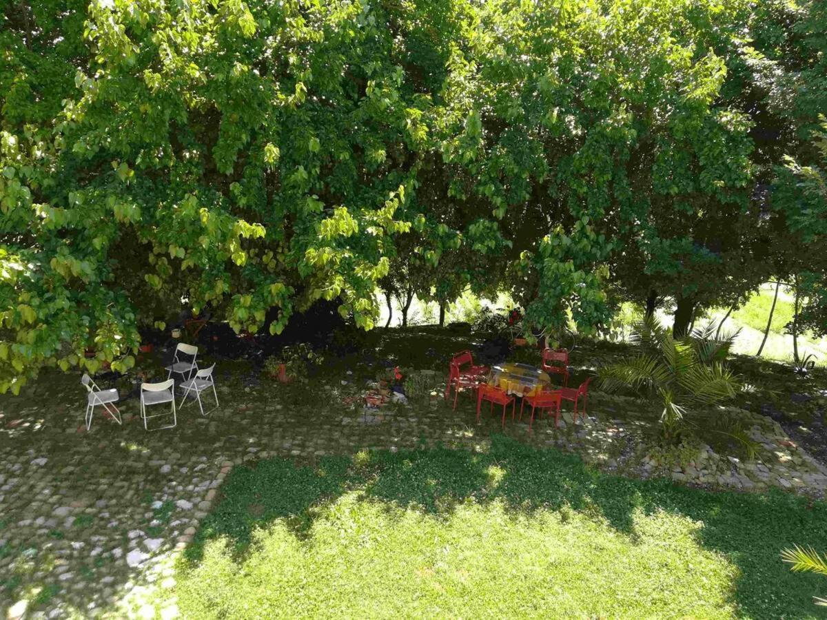 Agriturismo Campo Aperto Belvedere Ostrense Ngoại thất bức ảnh