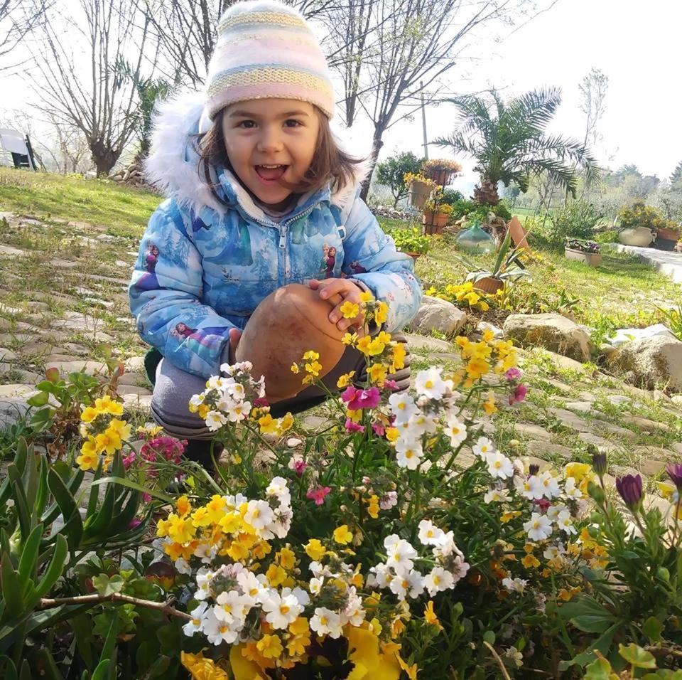 Agriturismo Campo Aperto Belvedere Ostrense Ngoại thất bức ảnh