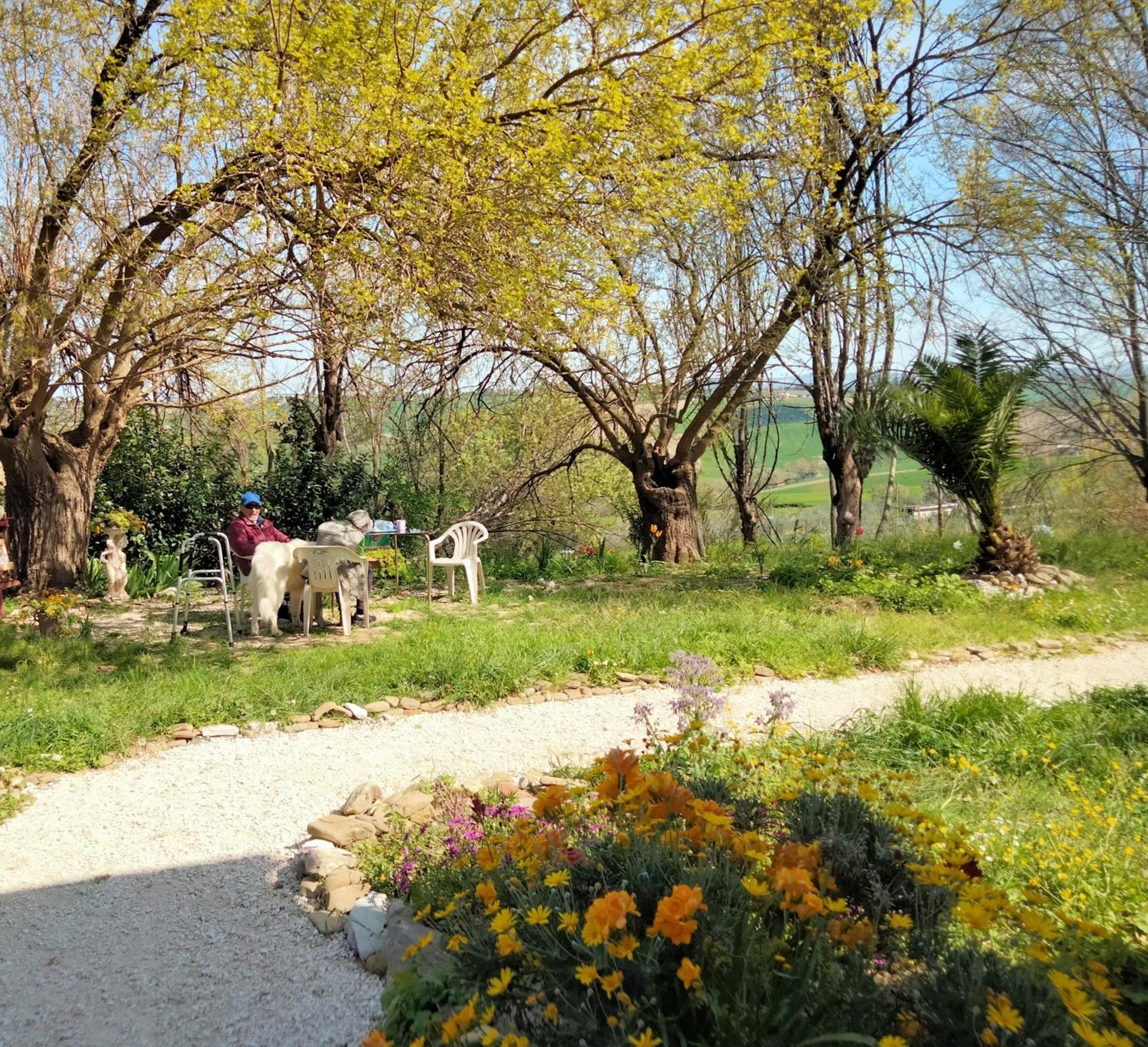 Agriturismo Campo Aperto Belvedere Ostrense Ngoại thất bức ảnh