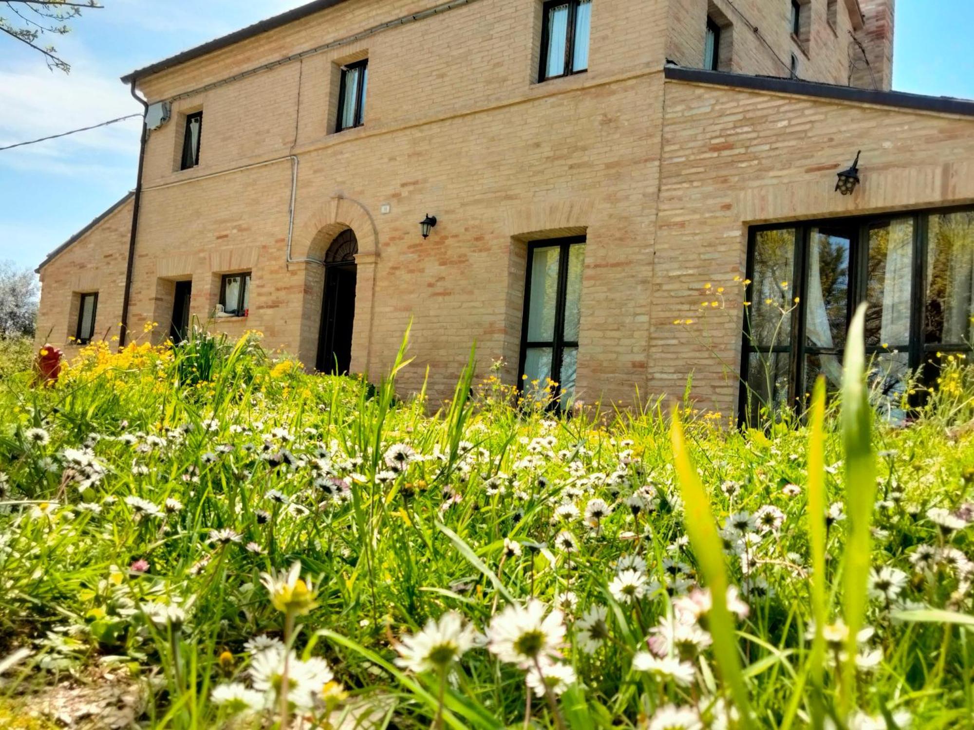 Agriturismo Campo Aperto Belvedere Ostrense Ngoại thất bức ảnh